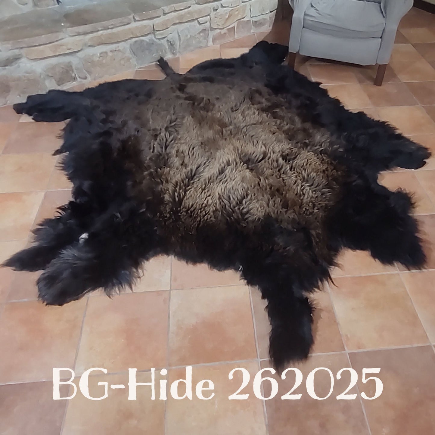 Bison (Buffalo) Hide / Robes