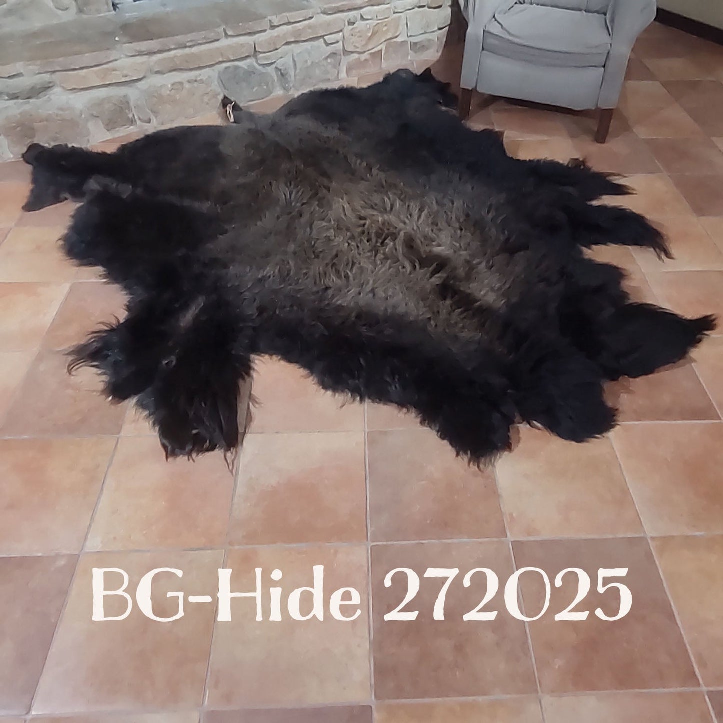 Bison (Buffalo) Hide / Robes