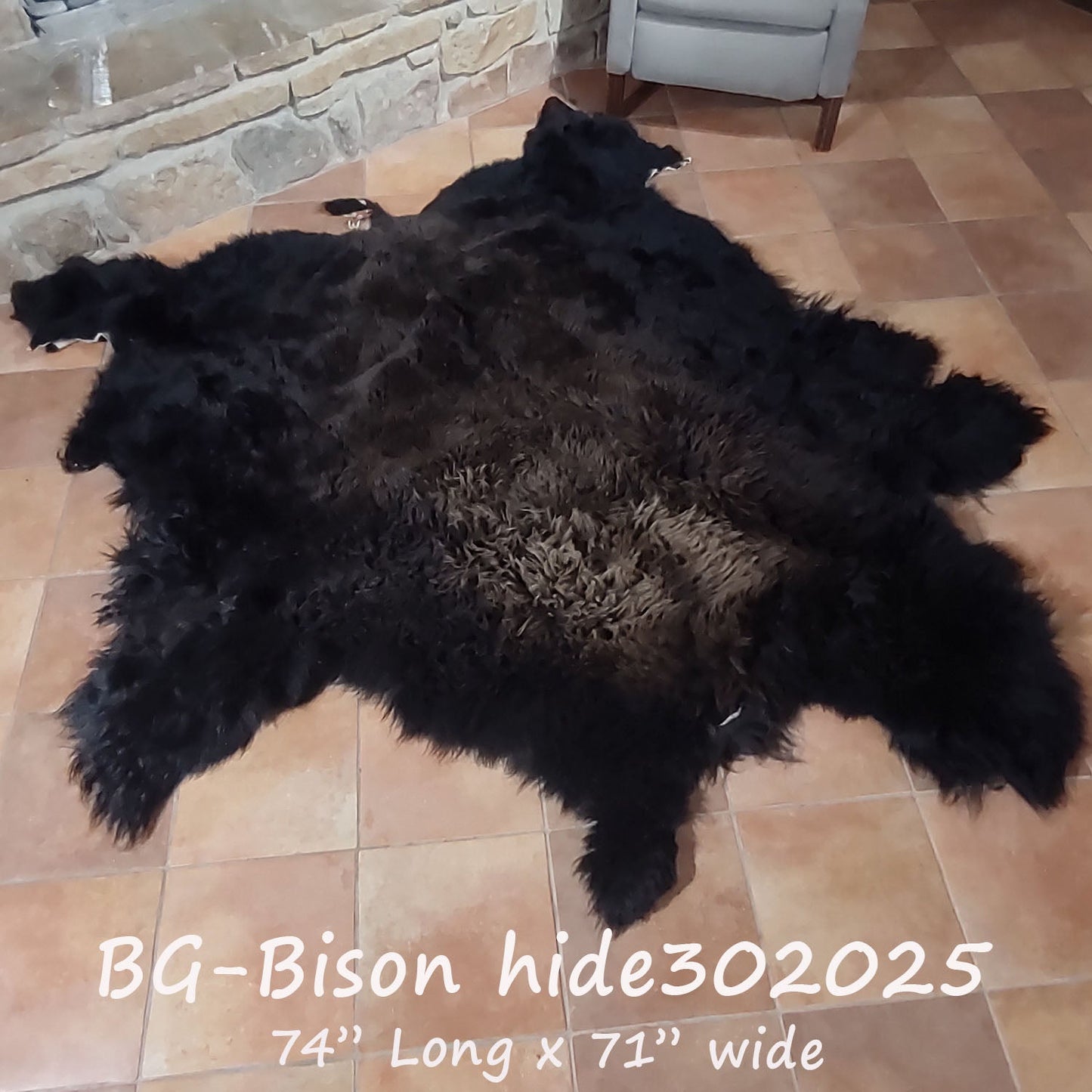 Bison (Buffalo) Hide / Robes