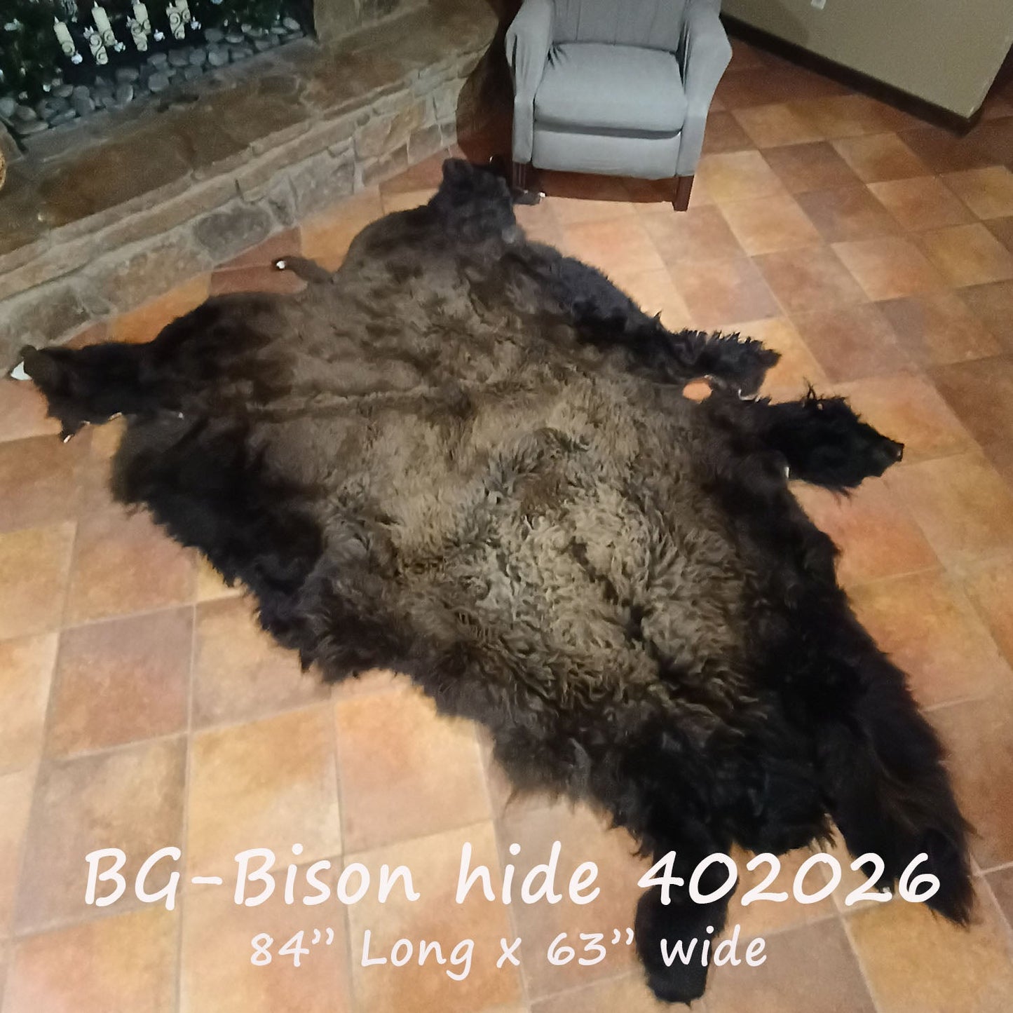 Bison (Buffalo) Hide / Robes