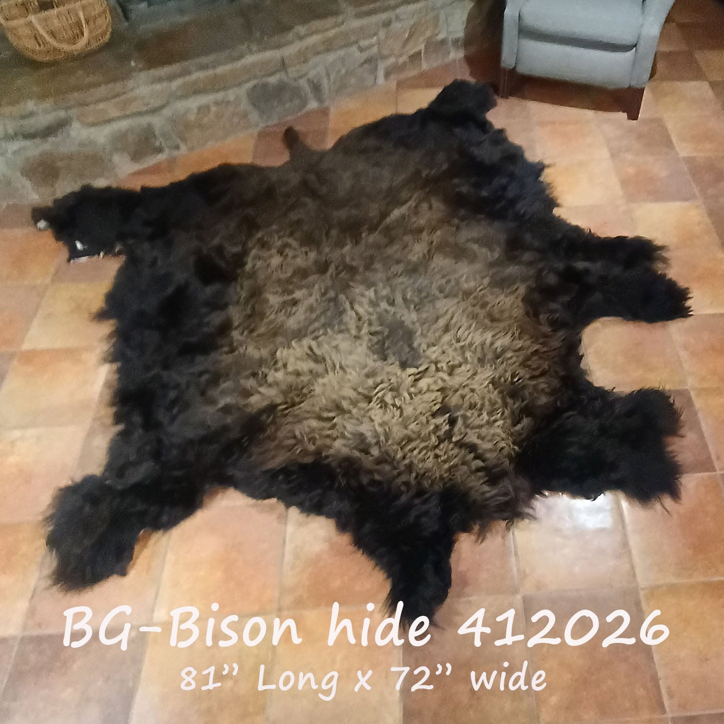 Bison (Buffalo) Hide / Robes