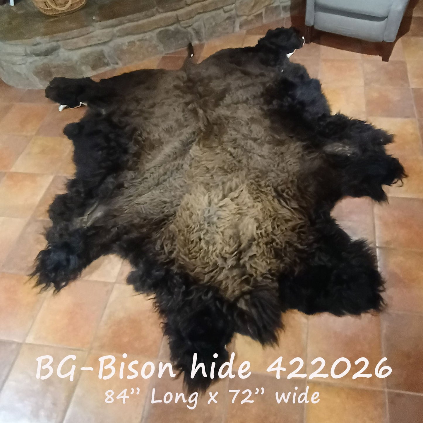 Bison (Buffalo) Hide / Robes
