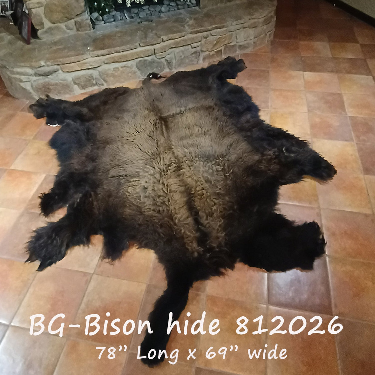 Bison (Buffalo) Hide / Robes