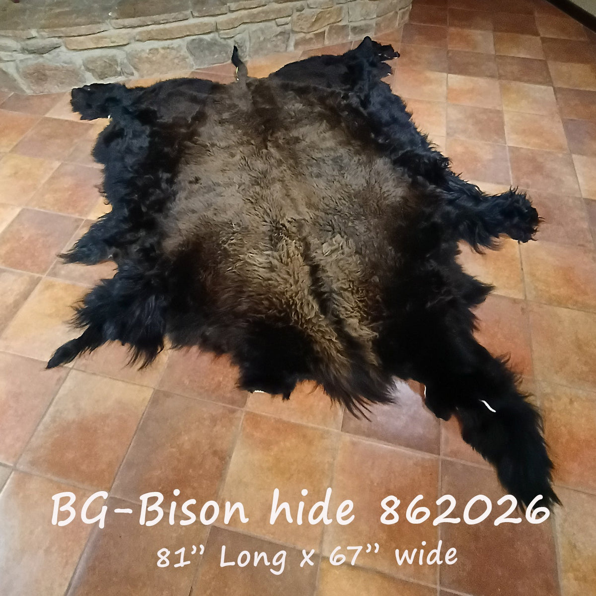 Bison (Buffalo) Hide / Robes