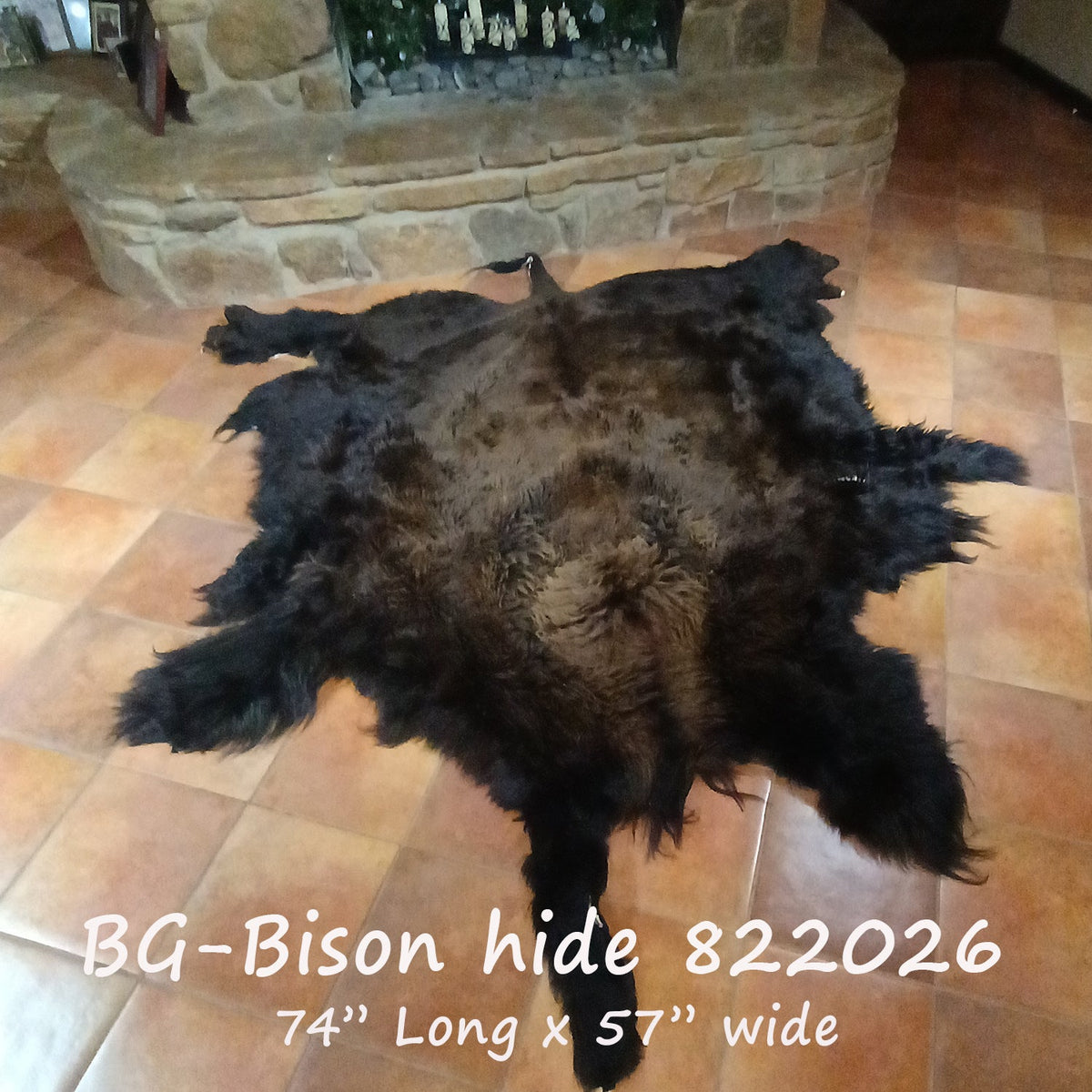 Bison (Buffalo) Hide / Robes
