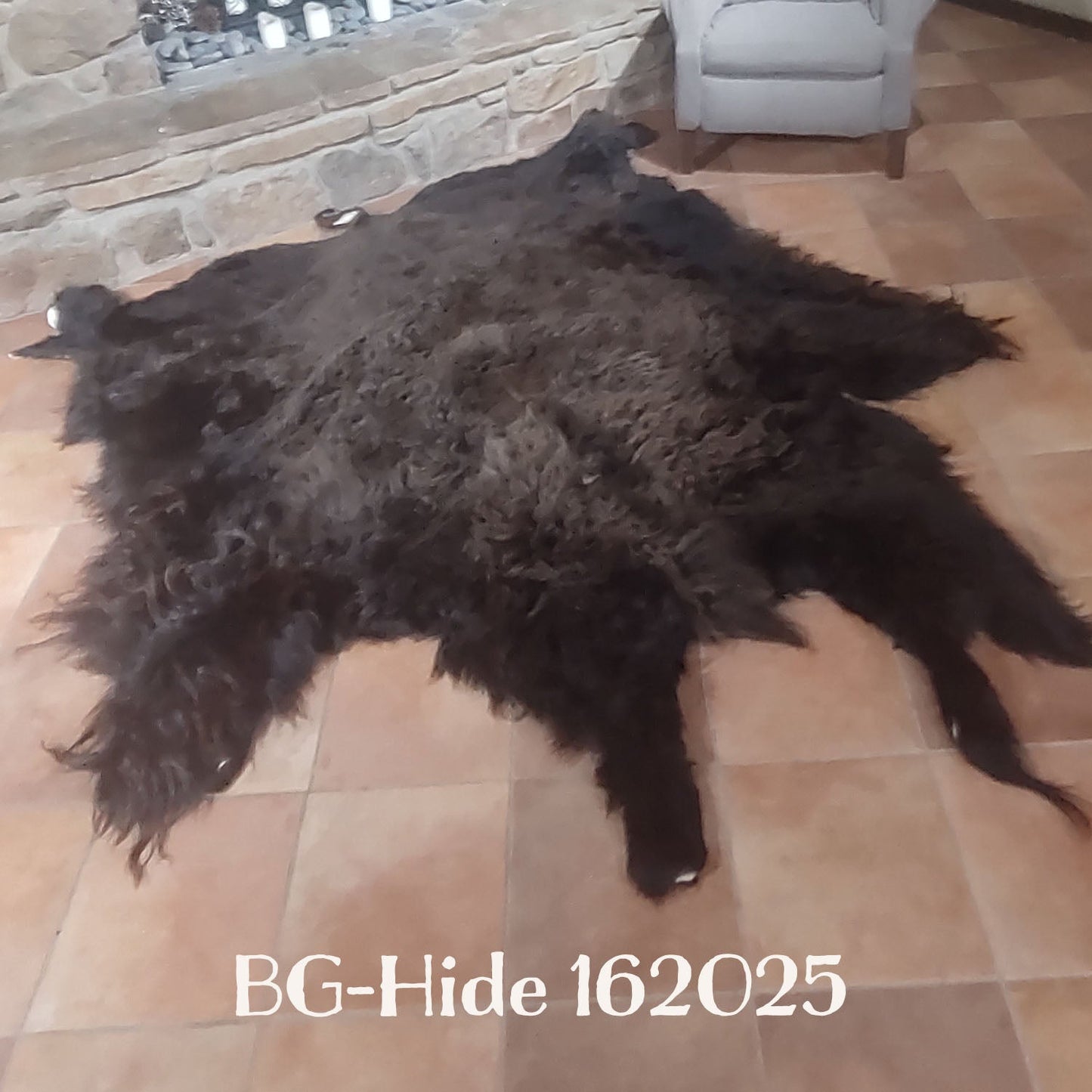 Bison (Buffalo) Hide / Robes