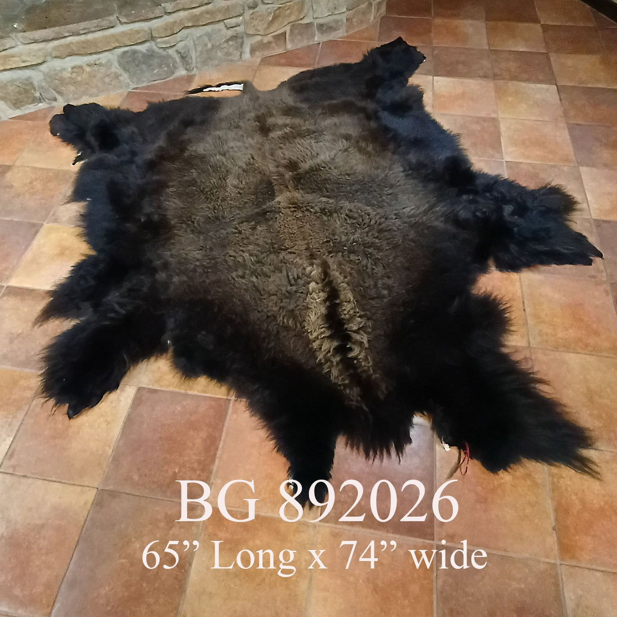 Bison (Buffalo) Hide / Robes