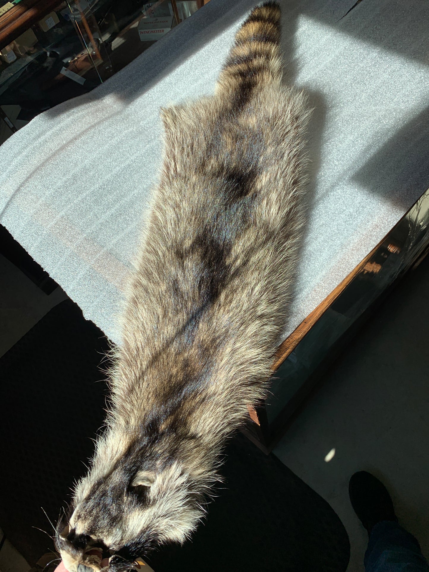 Furs, pelts and hides (other than bison)