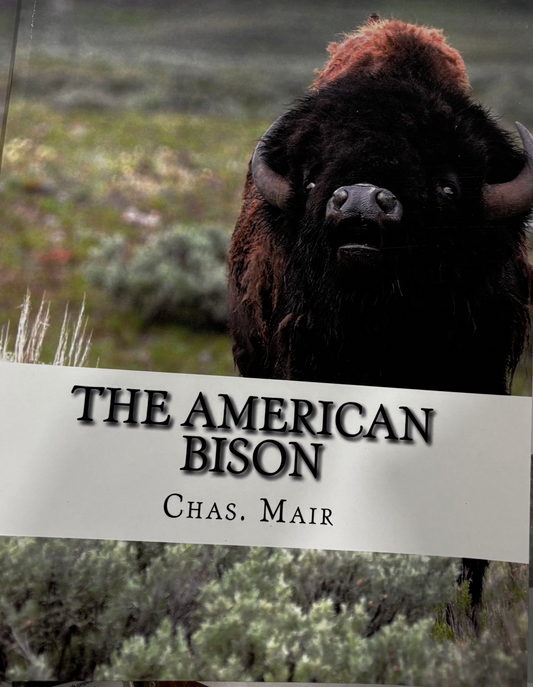 BOOKS - The American Bison: Its Habits, Method of Capture and Economic Use In The North West (Paperback)