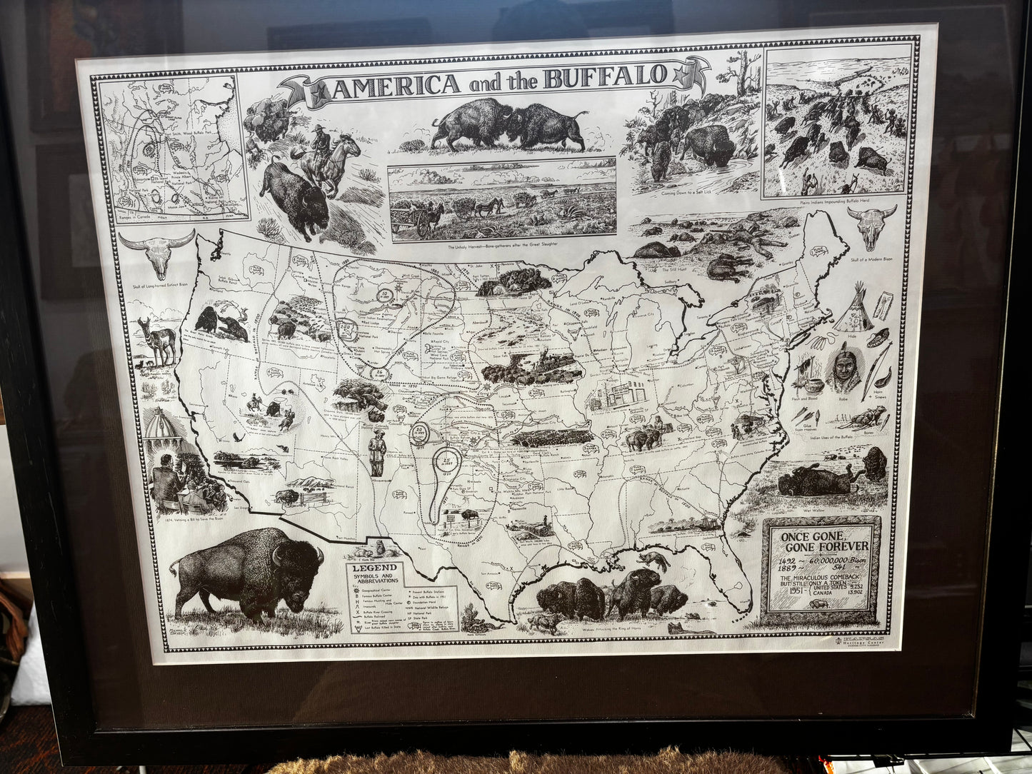 Extensive Bison History Map - Heritage Center, Dodge City, Kansas