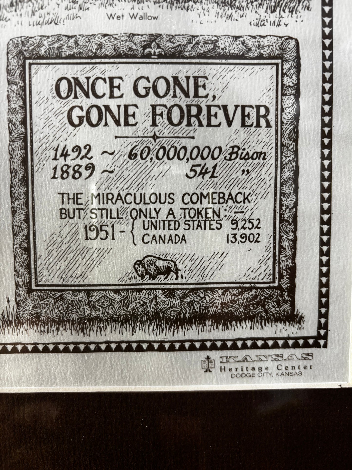 Extensive Bison History Map - Heritage Center, Dodge City, Kansas