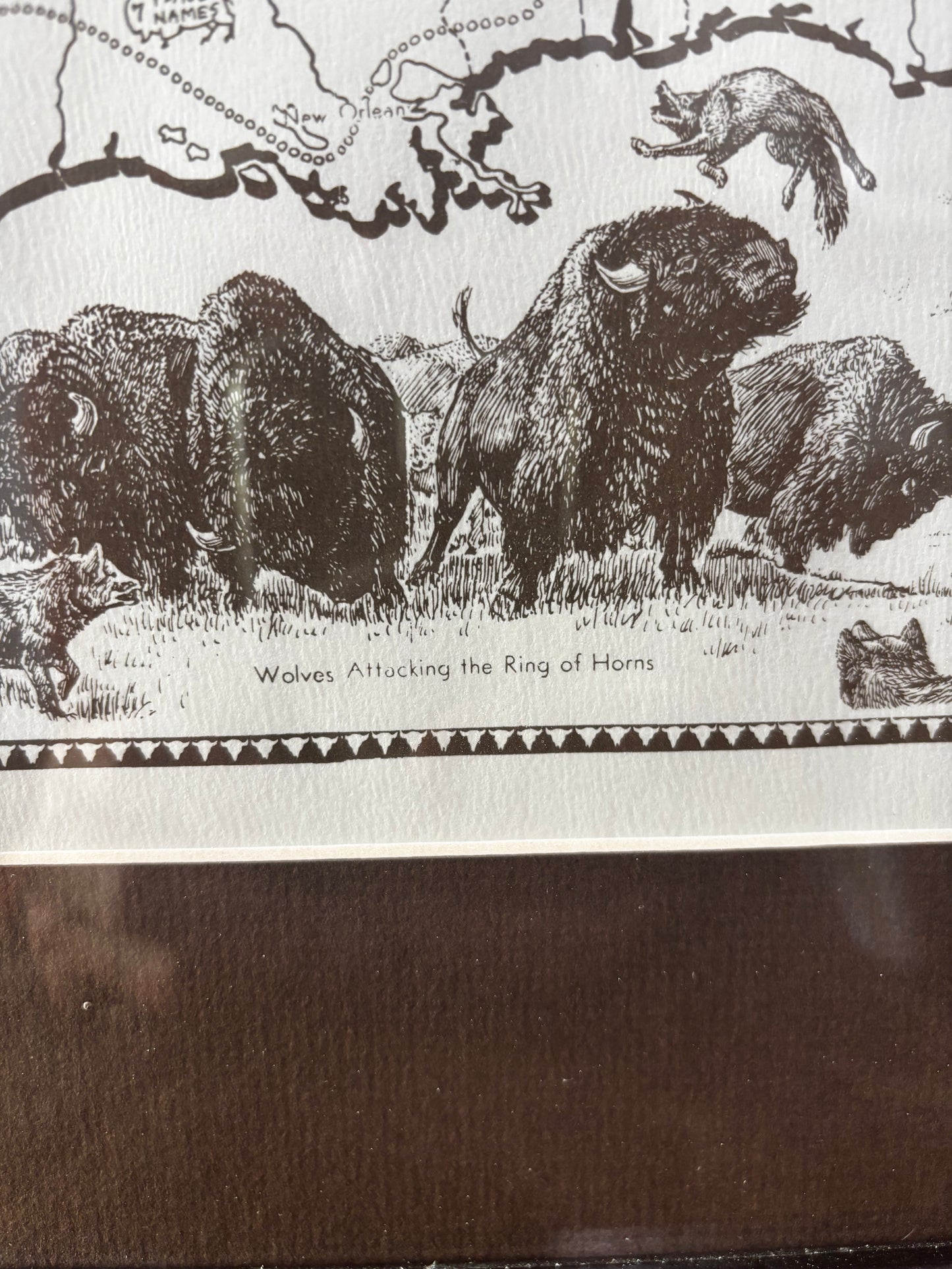 Extensive Bison History Map - Heritage Center, Dodge City, Kansas
