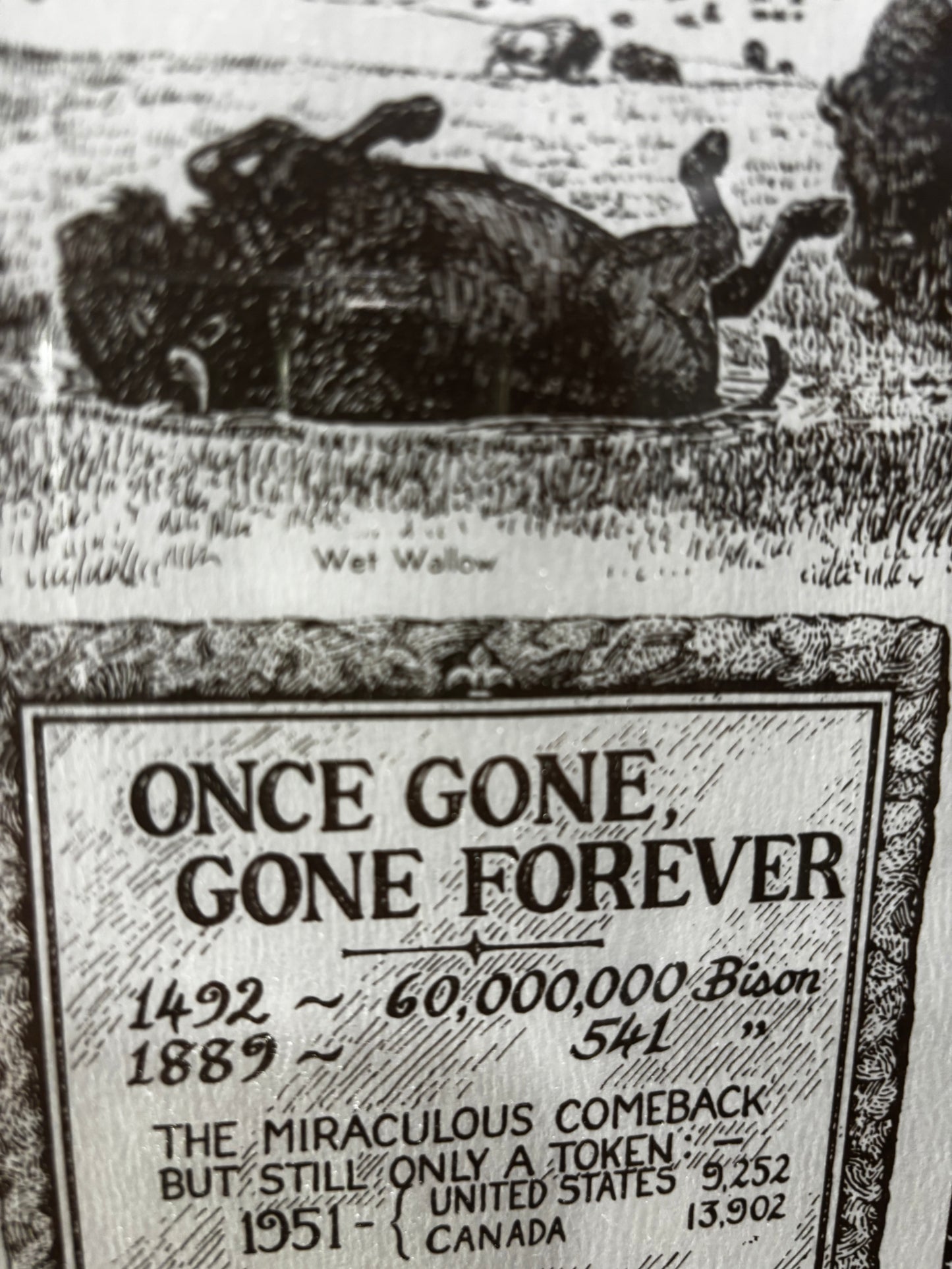 Extensive Bison History Map - Heritage Center, Dodge City, Kansas