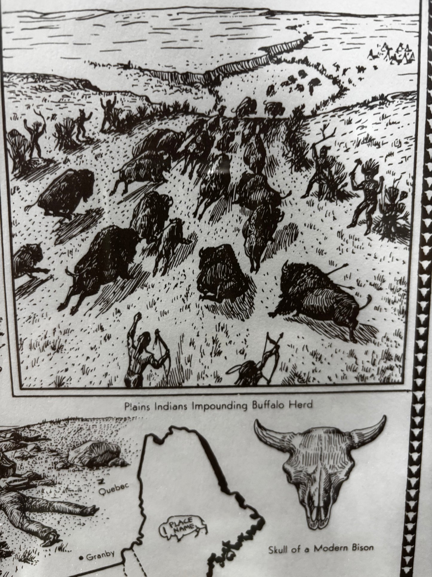 Extensive Bison History Map - Heritage Center, Dodge City, Kansas