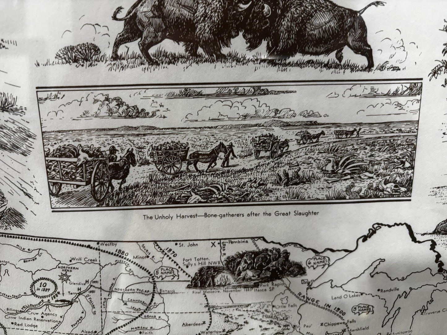 Extensive Bison History Map - Heritage Center, Dodge City, Kansas