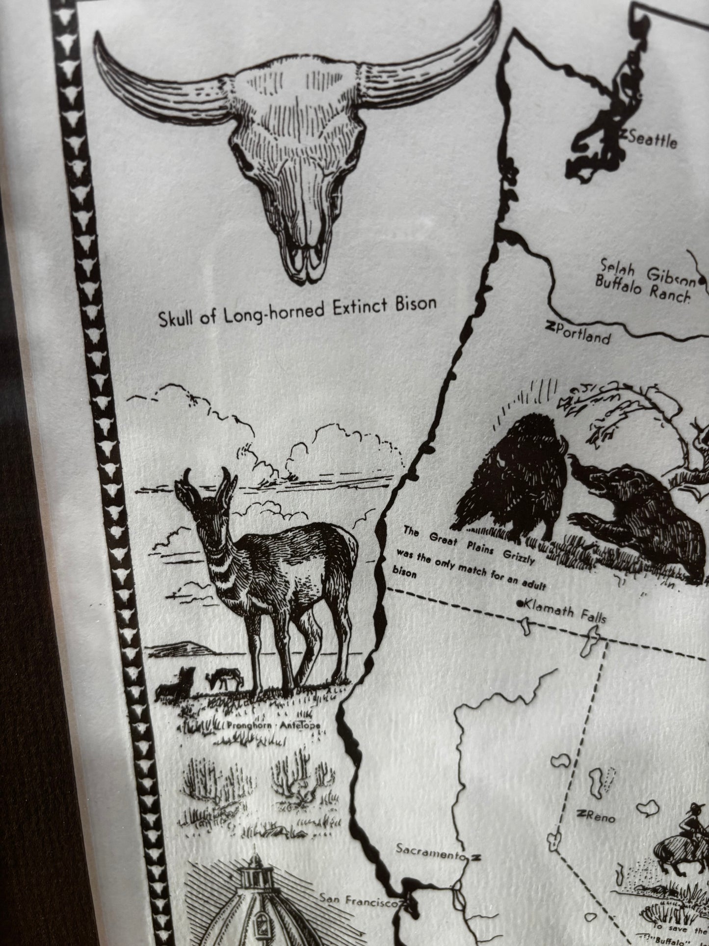 Extensive Bison History Map - Heritage Center, Dodge City, Kansas