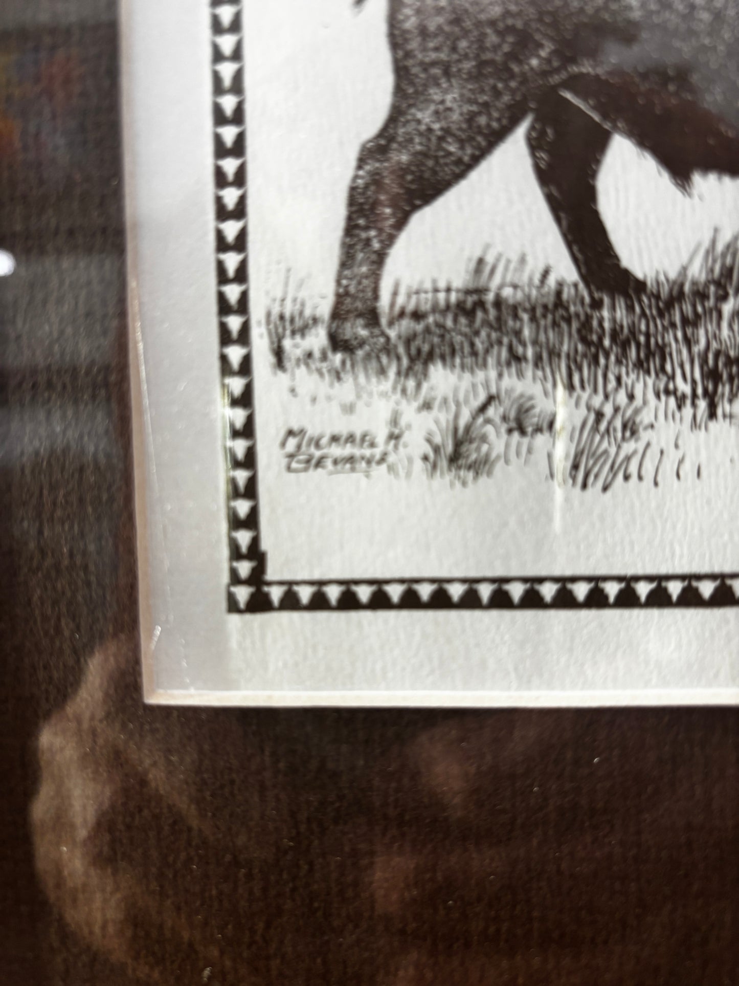 Extensive Bison History Map - Heritage Center, Dodge City, Kansas