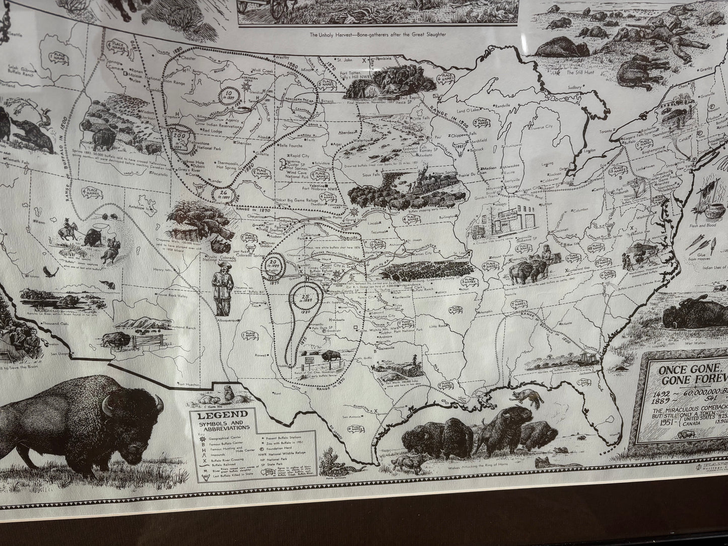 Extensive Bison History Map - Heritage Center, Dodge City, Kansas