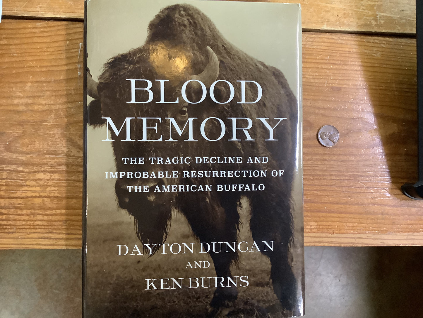 BOOKS - “Blood Memory”