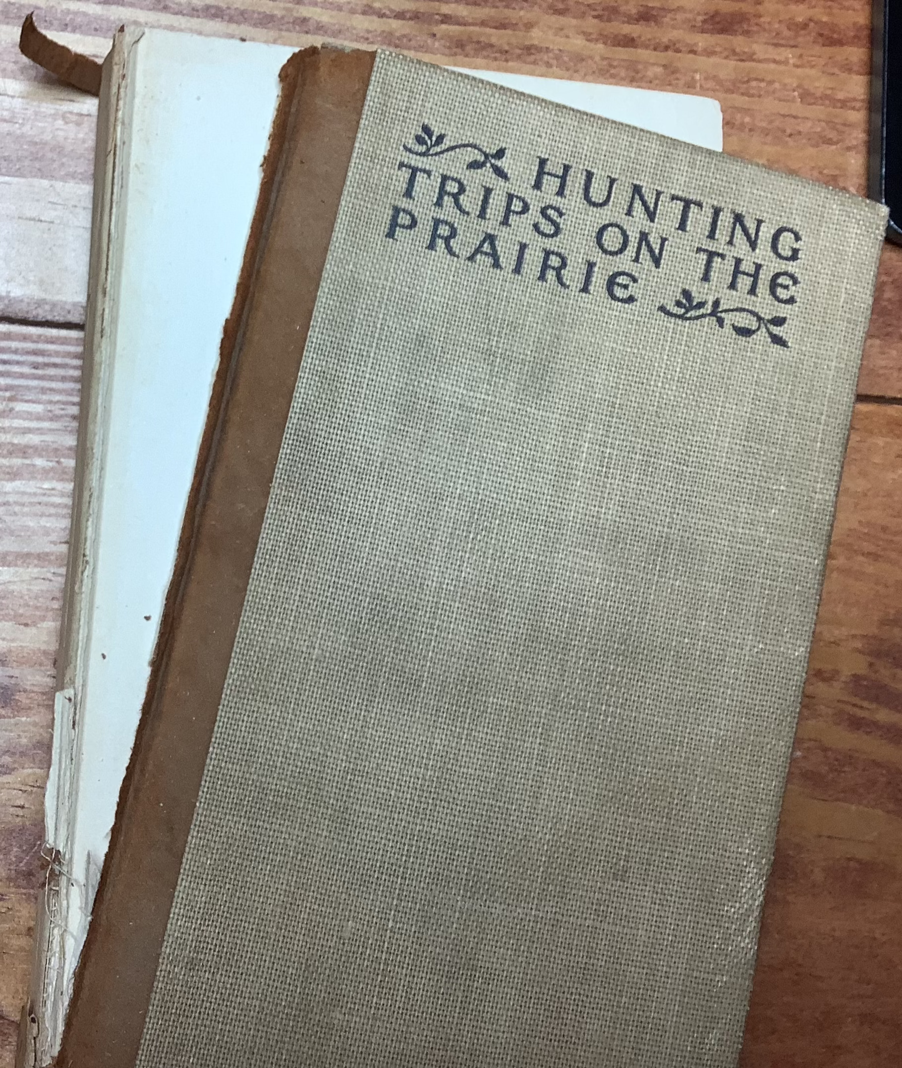 BOOKS - "Hunting Trips on the Prairie"  by Theodore Roosevelt