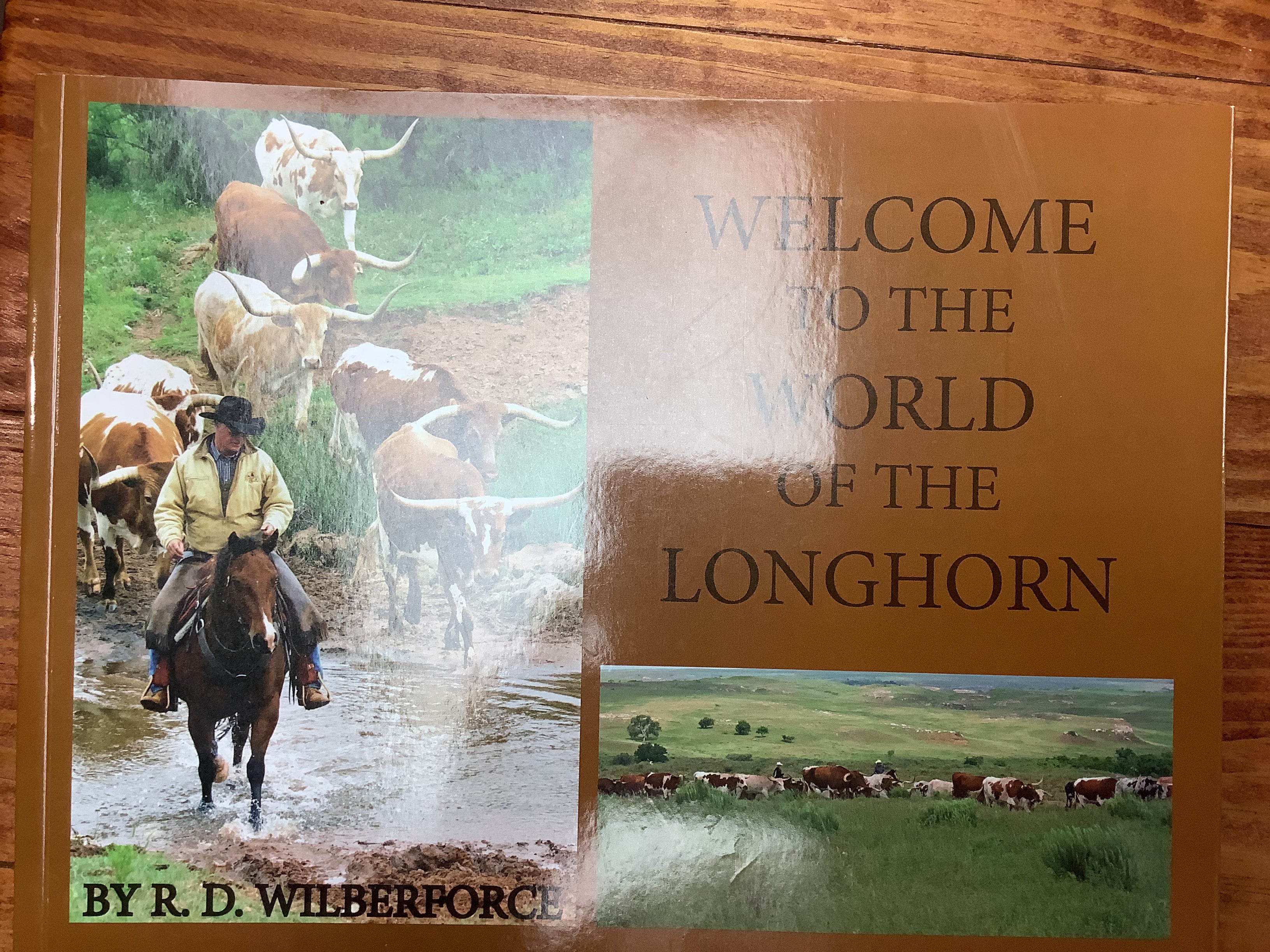 BOOKS - "Welcome to the World of the Longhorn" - a photographers essay