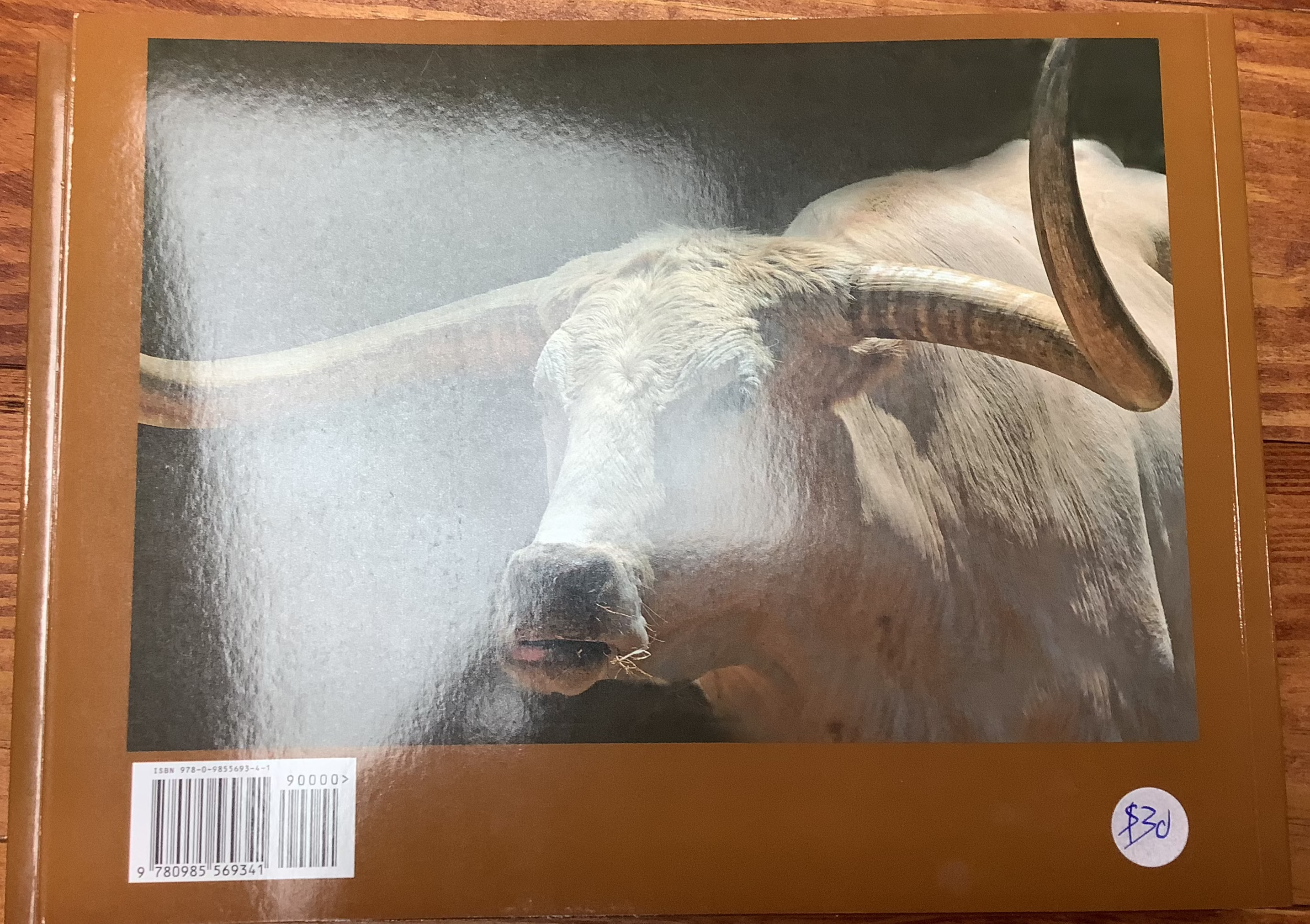 BOOKS - "Welcome to the World of the Longhorn" - a photographers essay