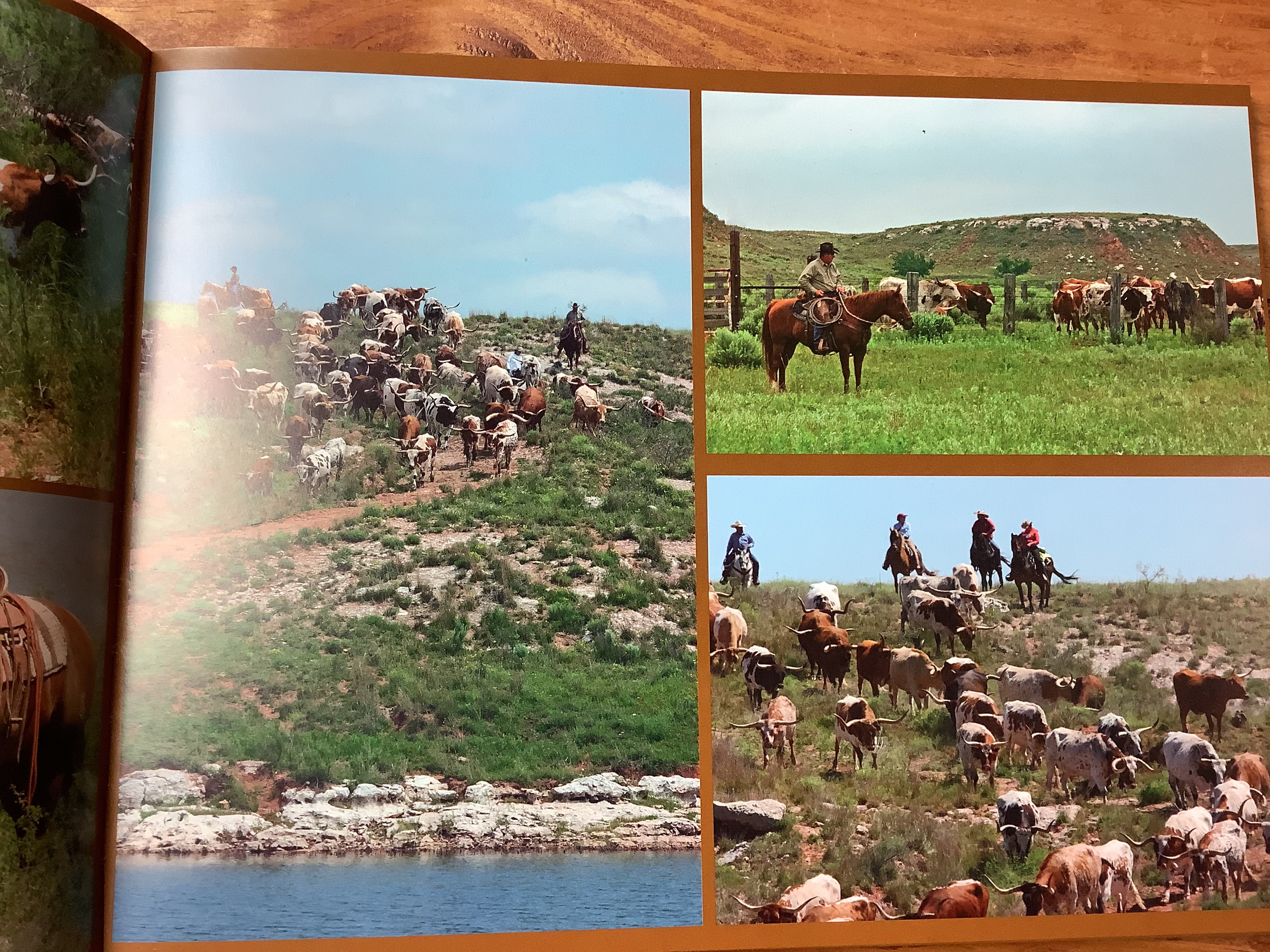 BOOKS - "Welcome to the World of the Longhorn" - a photographers essay