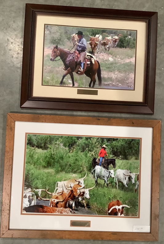 the Last Sets of Dick Wilberforce photographs