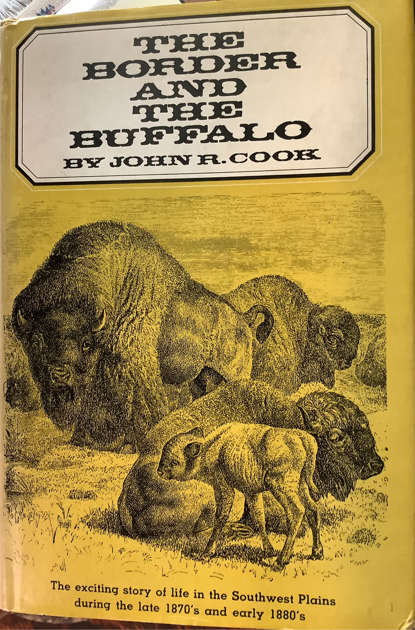 BOOKS - The Border and the Buffalo