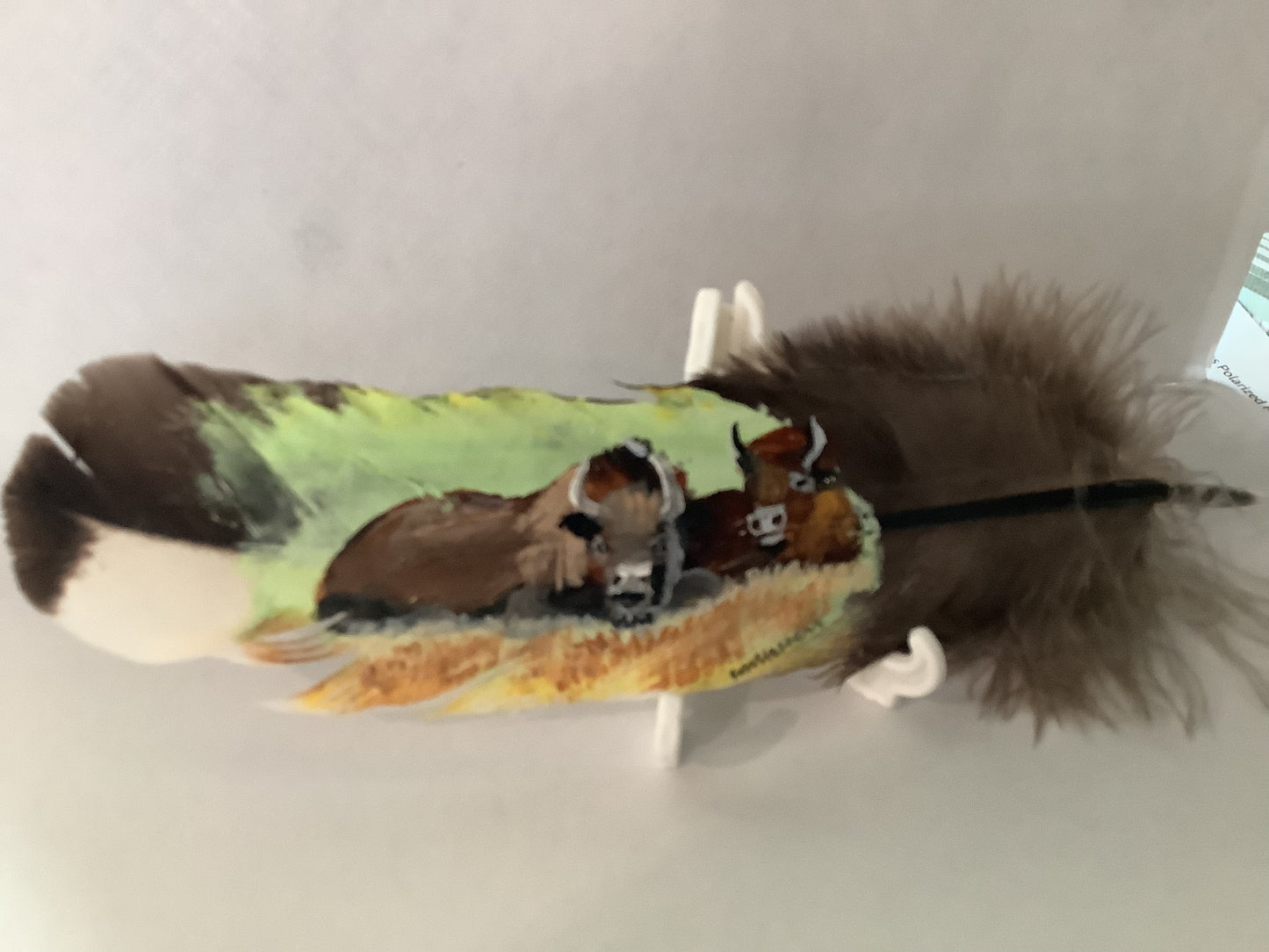WHOLESALE LOT #15 - Gifting Feathers - Hand Painted on Turkey quills by Will Hoffert