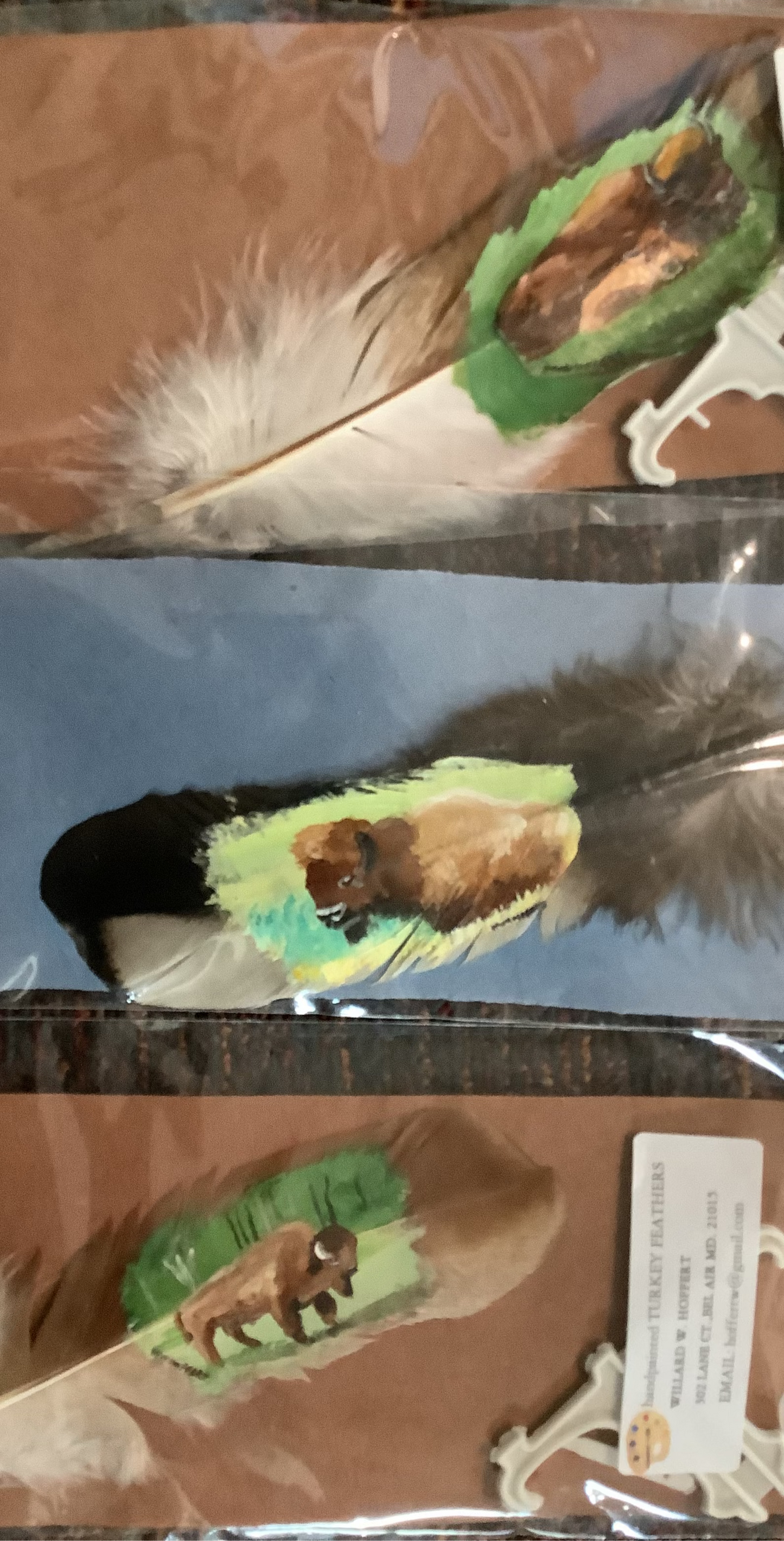 WHOLESALE LOT #15 - Gifting Feathers - Hand Painted on Turkey quills by Will Hoffert
