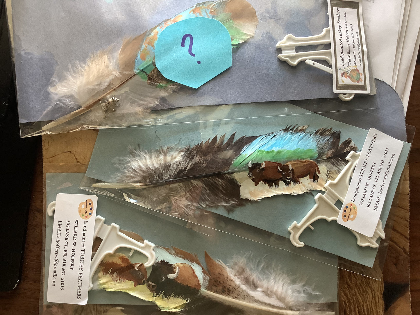 WHOLESALE LOT #15 - Gifting Feathers - Hand Painted on Turkey quills by Will Hoffert
