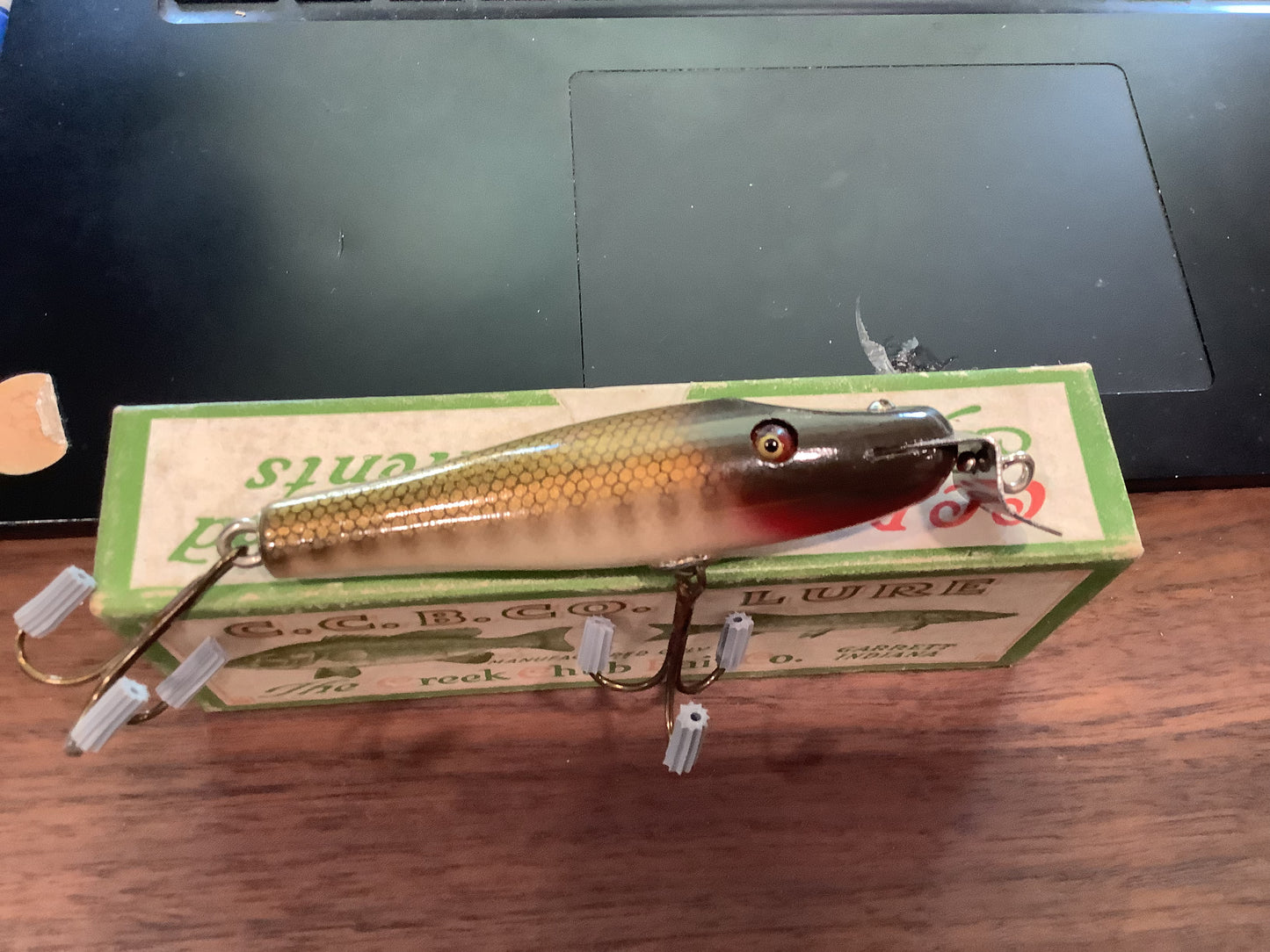 Creek Chub - "Pikie Minnow"