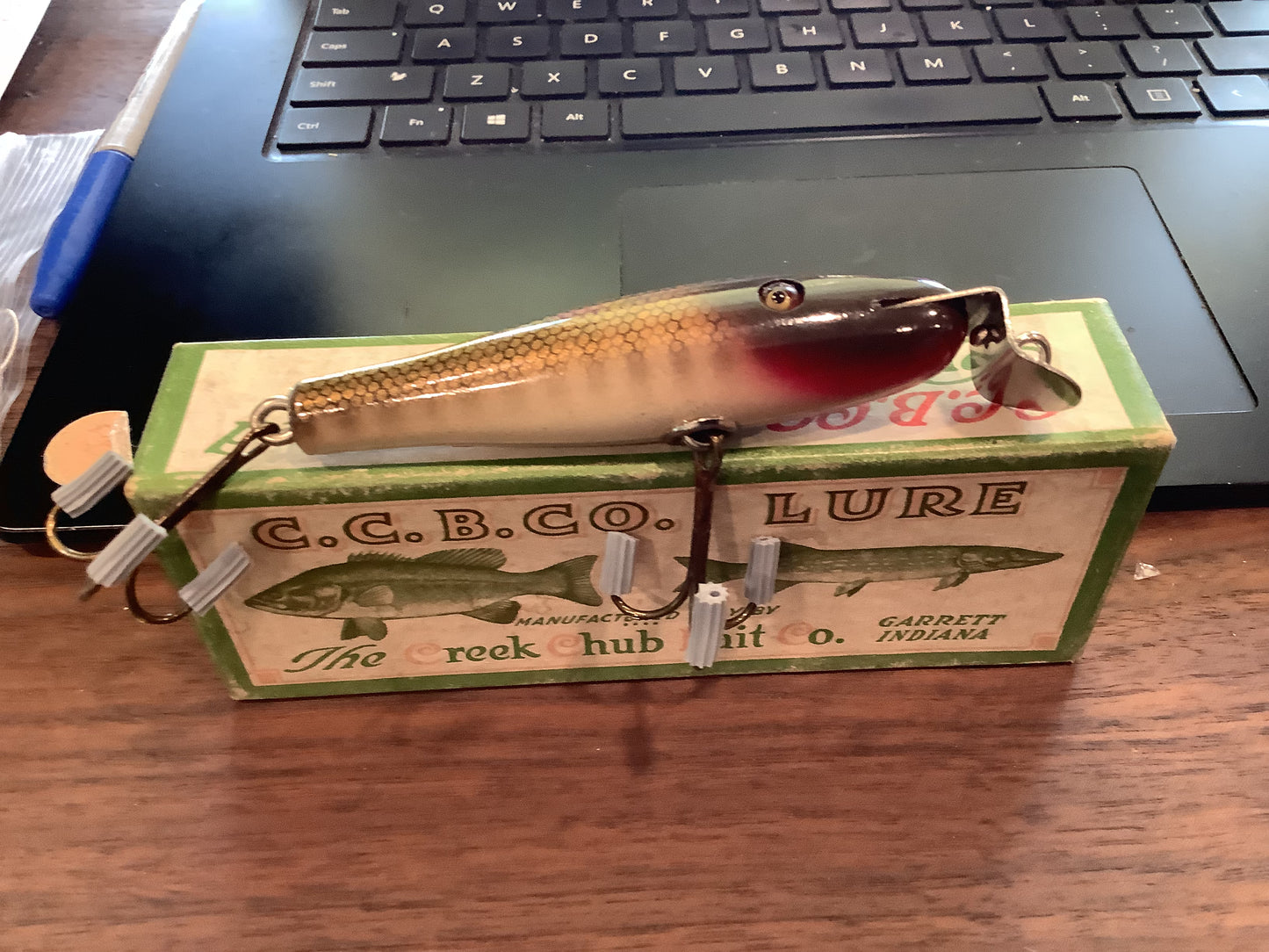 Creek Chub - "Pikie Minnow"