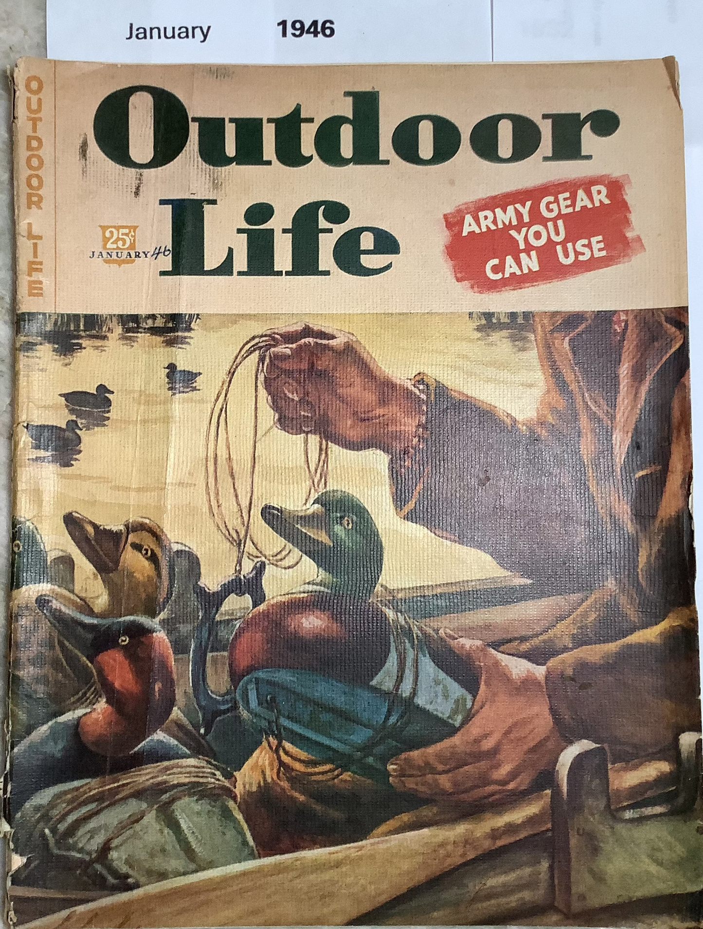 Old "Outdoor Life" magazines