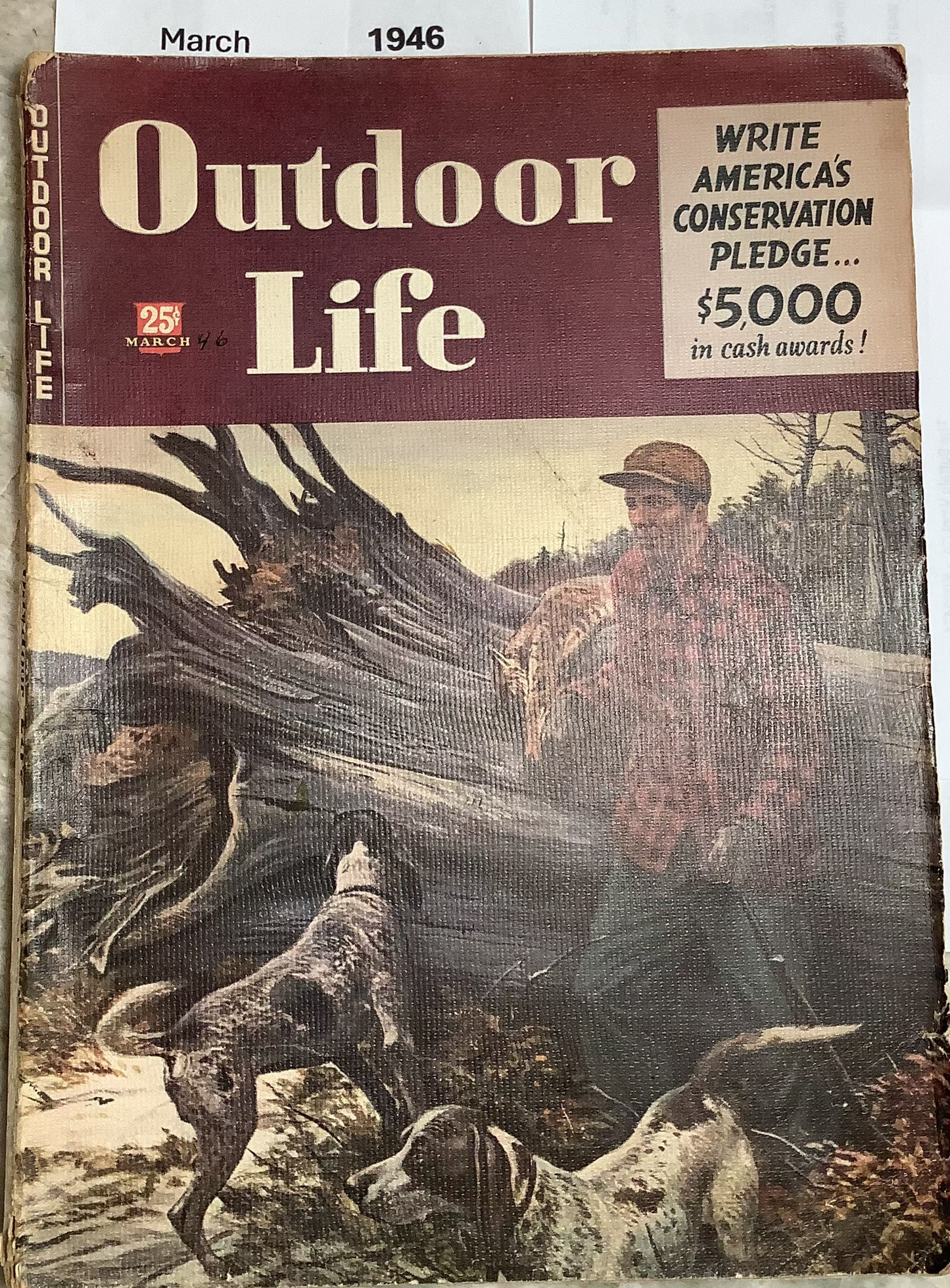 Old "Outdoor Life" magazines