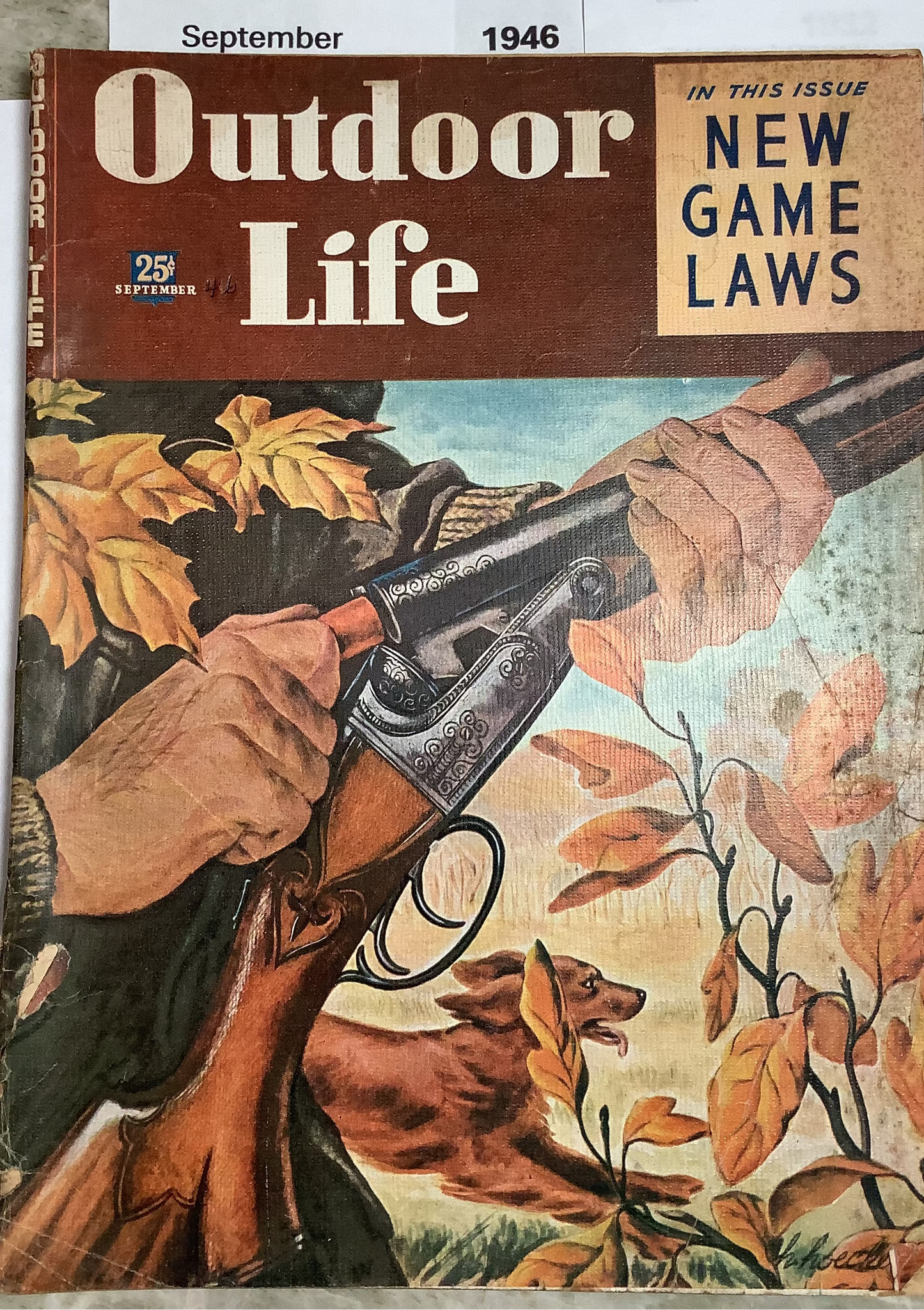 Old "Outdoor Life" magazines