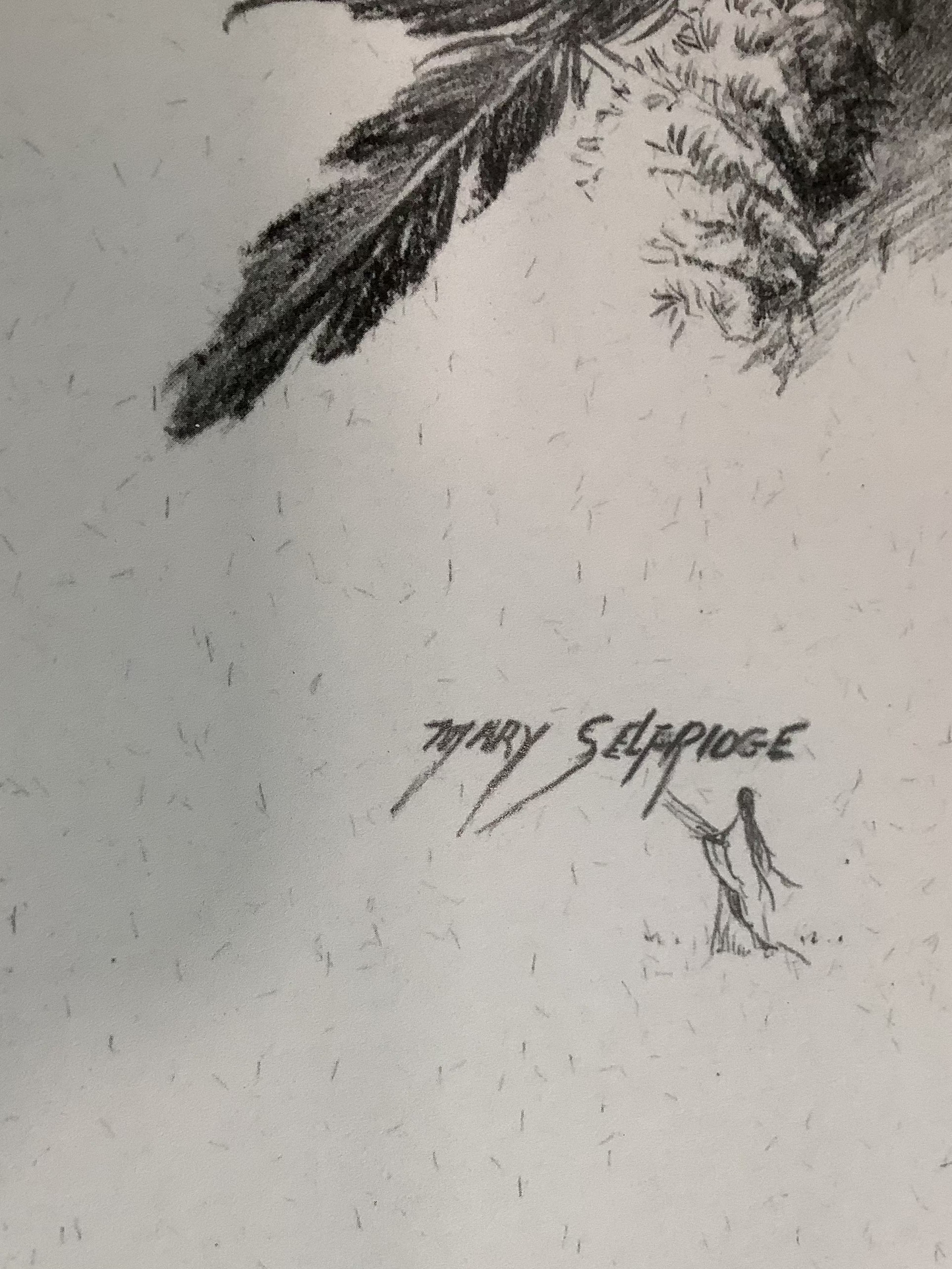 Quanah Parker Drawing - Mary Selfridge