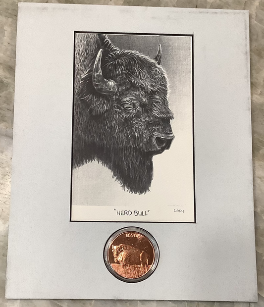 Herd Bull - Lori Scoffield