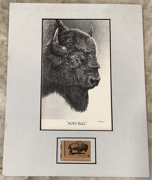 Herd Bull - Lori Scoffield