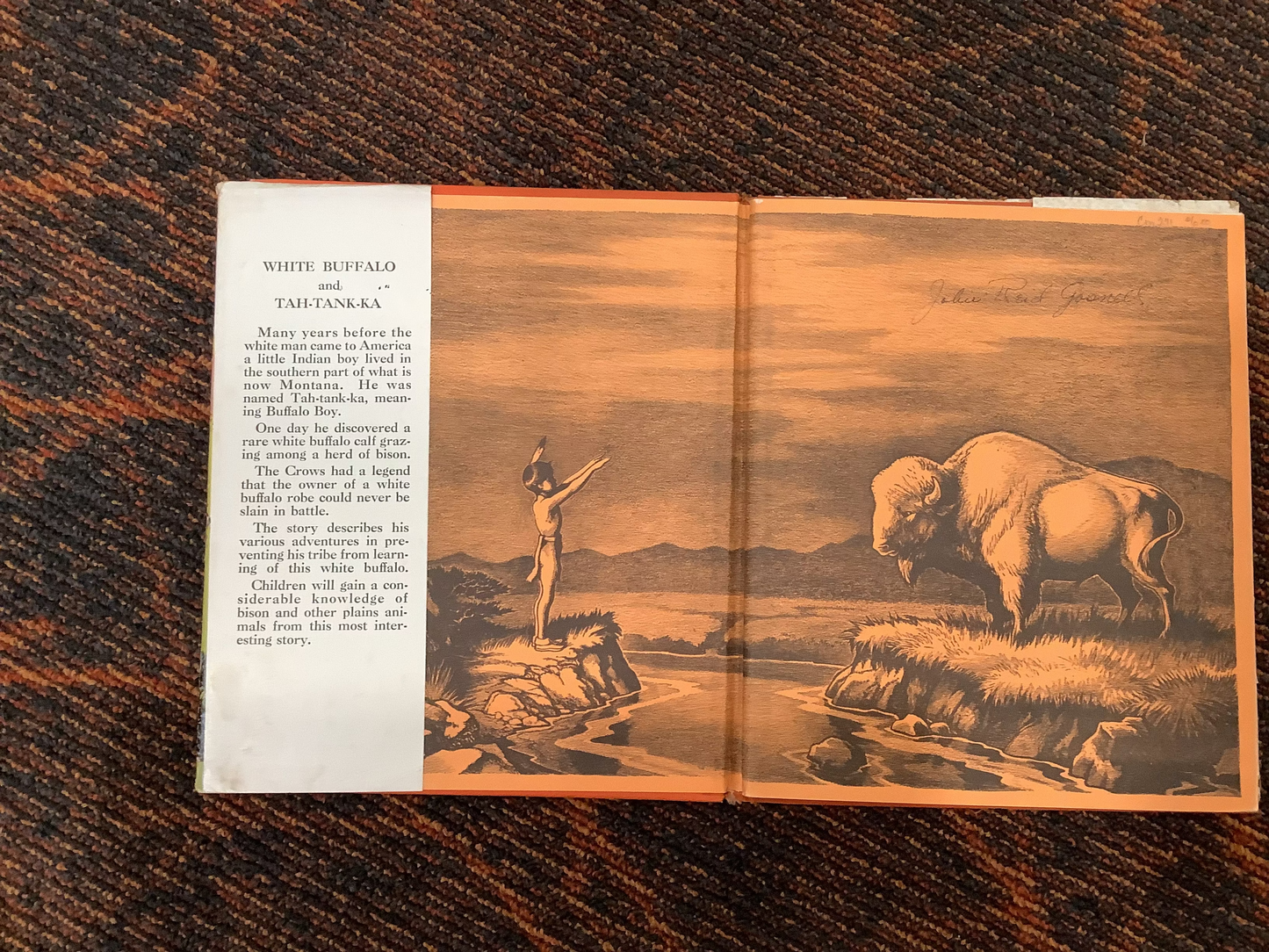BOOKS - White Buffalo and Tah-Tank-ka