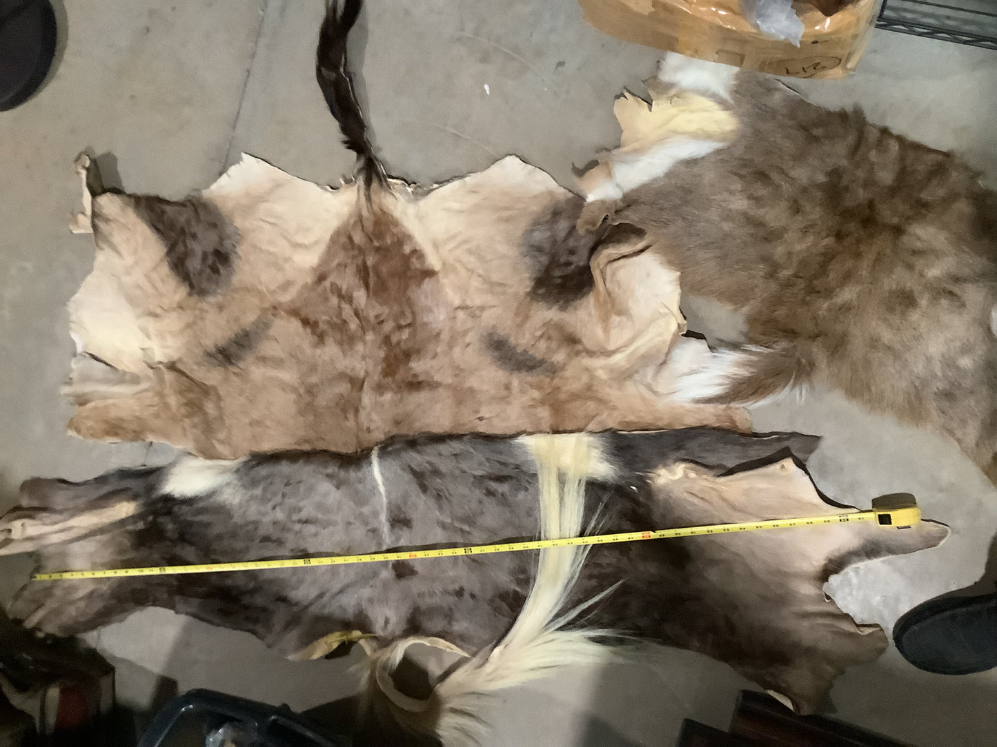 Wholesale Lots #28 - Ass End African Game hide pieces