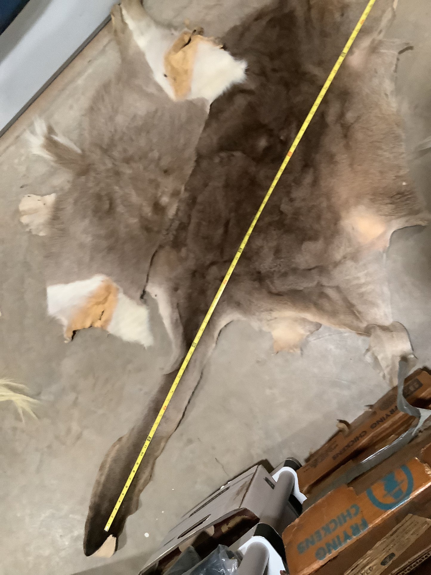 Wholesale Lots #28 - Ass End African Game hide pieces
