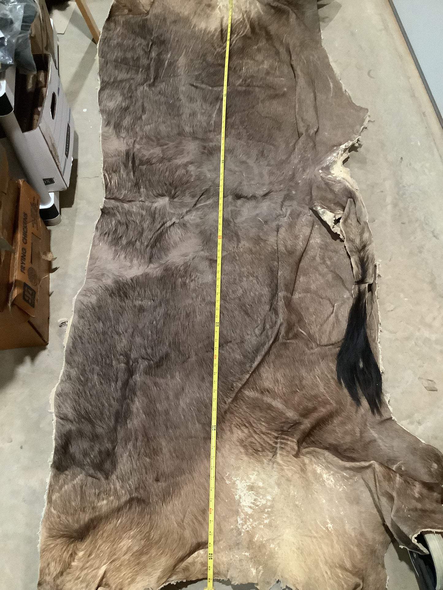 Wholesale Lots #28 - Ass End African Game hide pieces