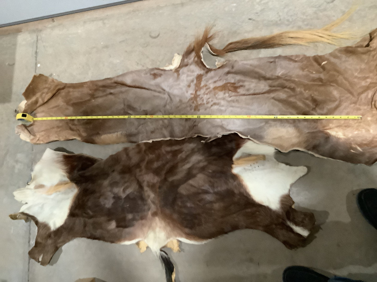 Wholesale Lots #28 - Ass End African Game hide pieces
