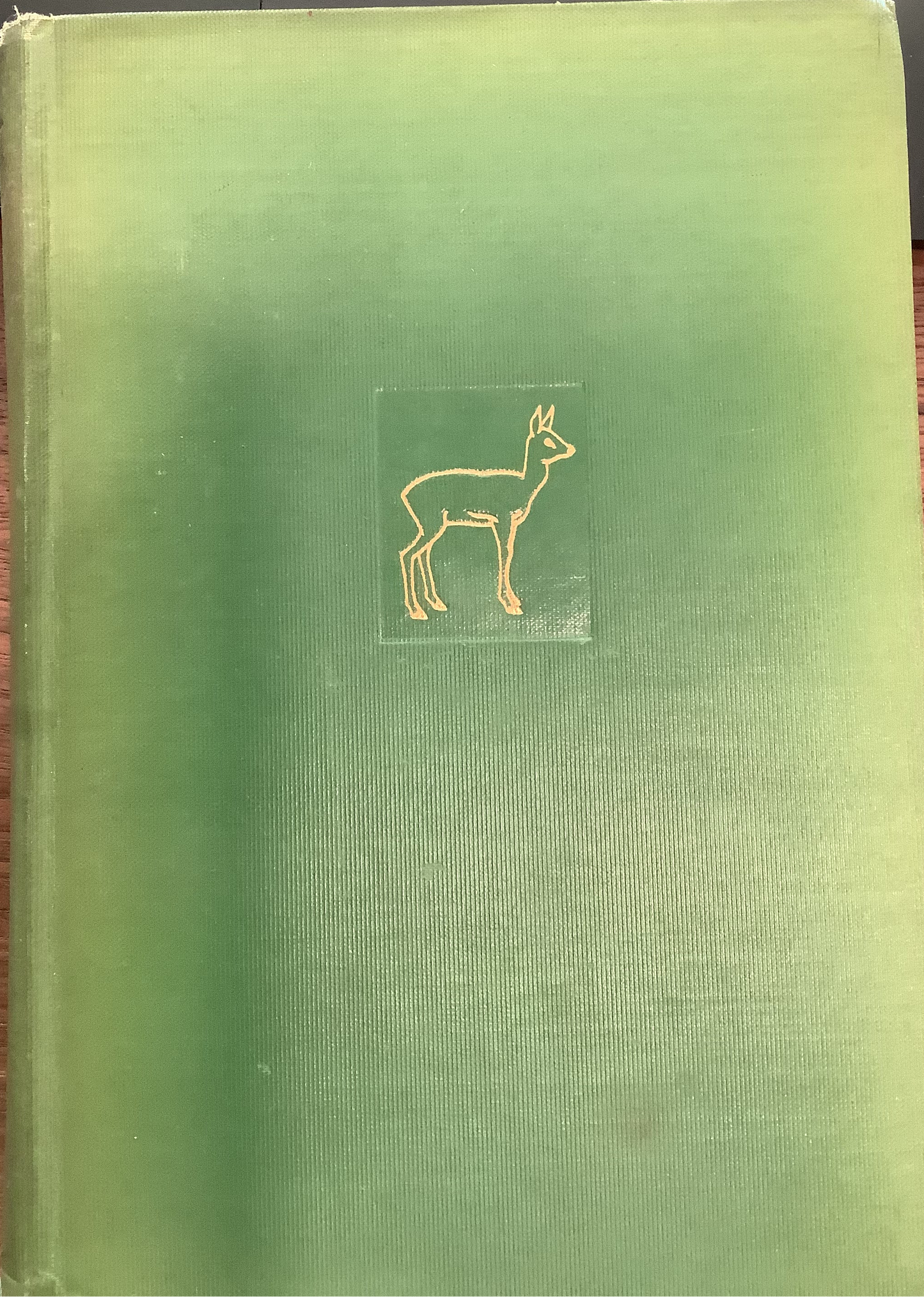 BOOKS - Bambi - A Life in the Woods - 1928
