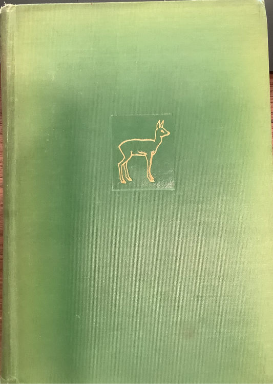 BOOKS - Bambi - A Life in the Woods - 1928