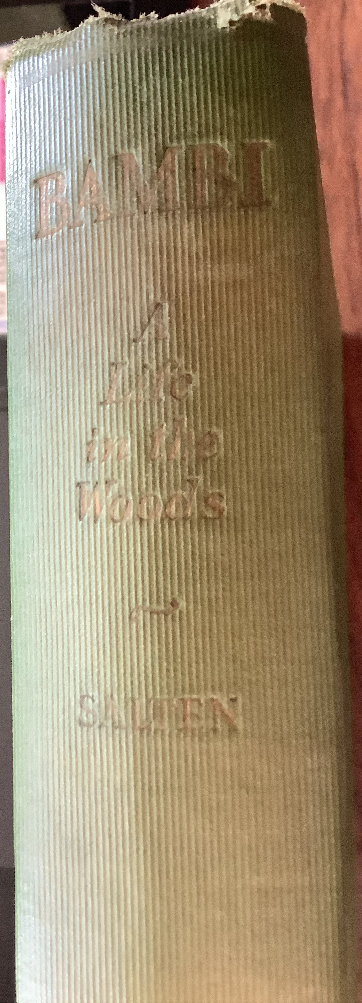 BOOKS - Bambi - A Life in the Woods - 1928