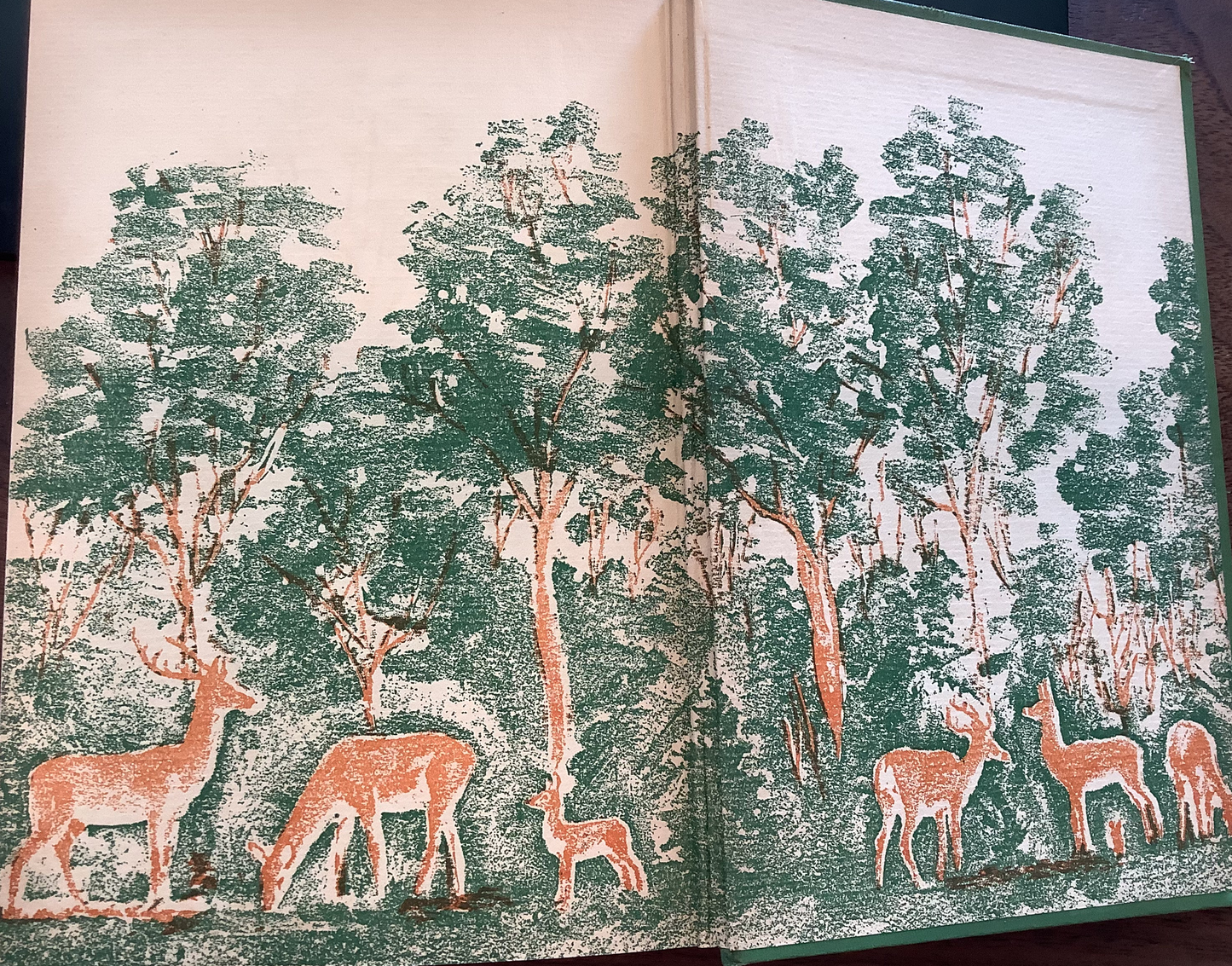 BOOKS - Bambi - A Life in the Woods - 1928