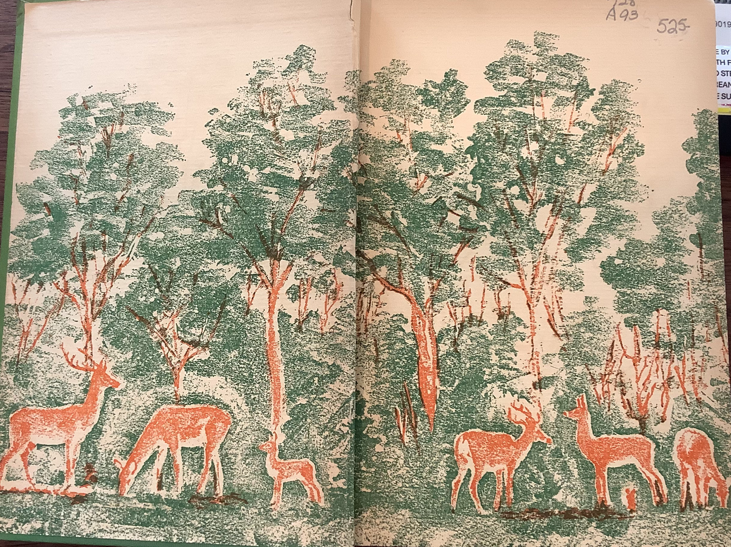 BOOKS - Bambi - A Life in the Woods - 1928